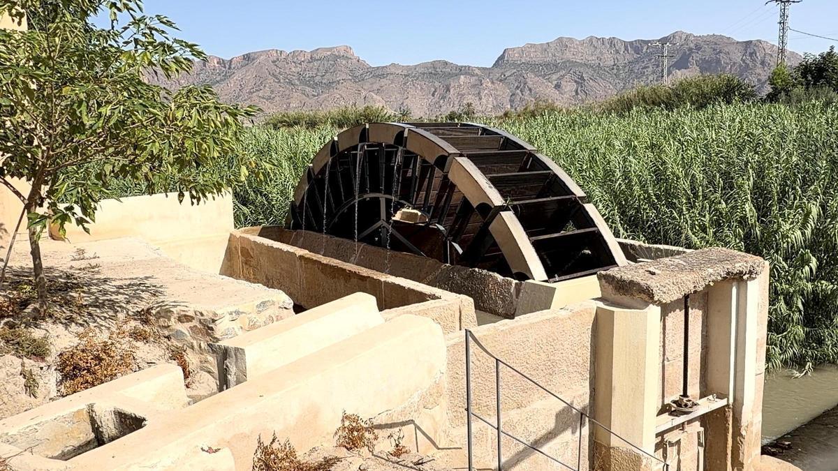 La noria de Pando vuelve a rodar con el agua del río Segura