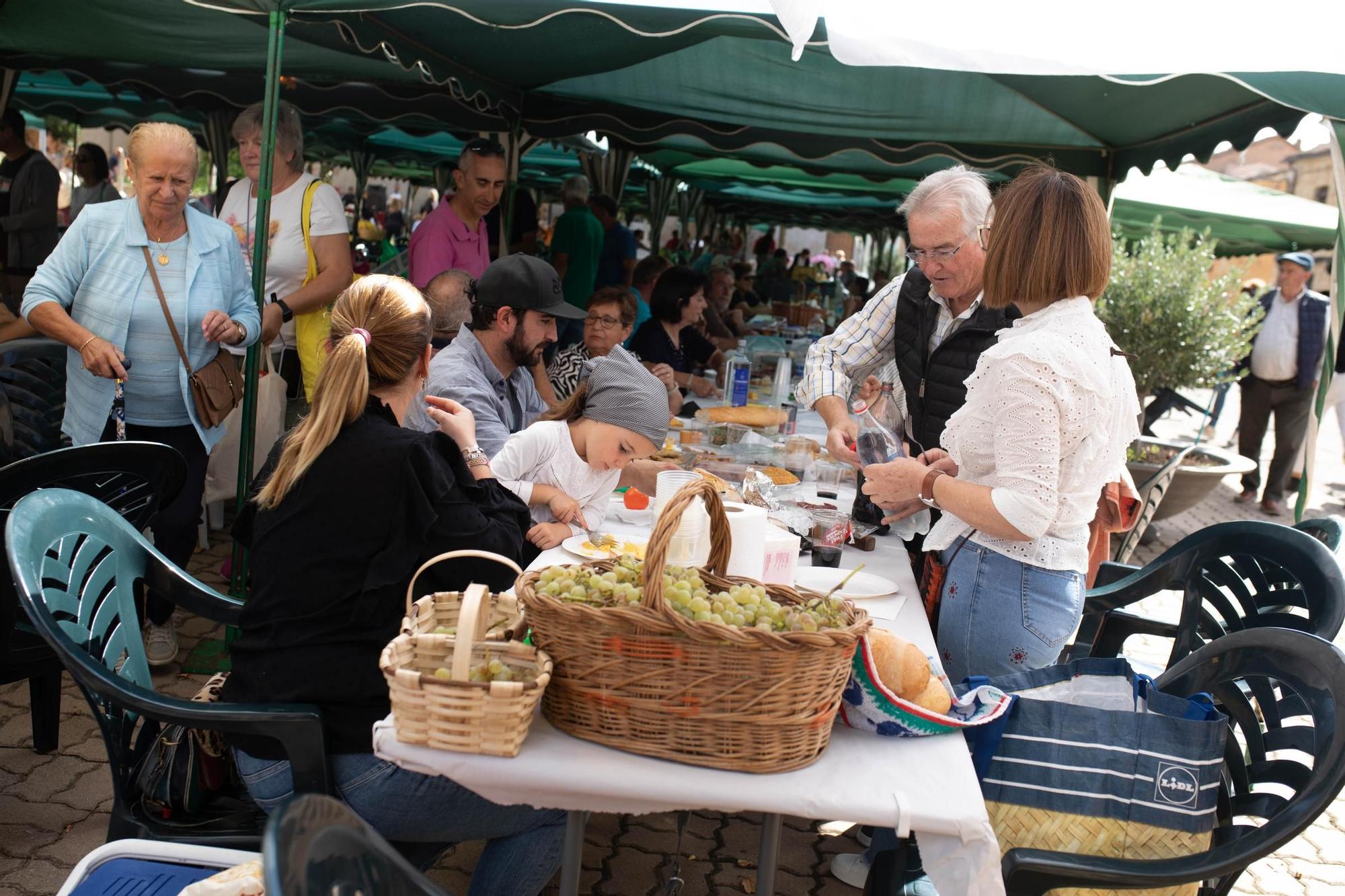 Así es la Fiesta de la Vendimia de Venialbo