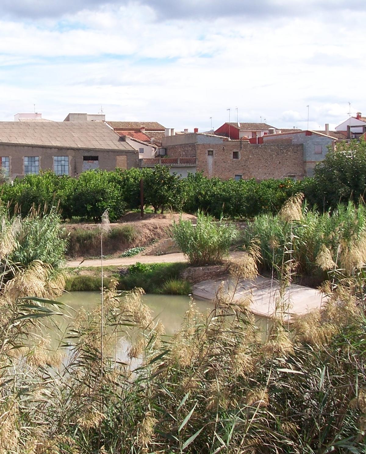 Sifó del Sellent de la Reial Séquia de Carcaixent