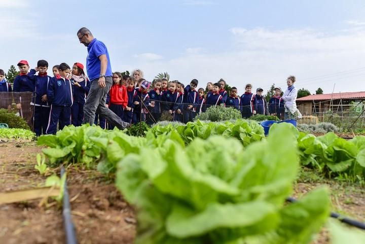 Visita escolar a la Granja Agricola del Cabildo