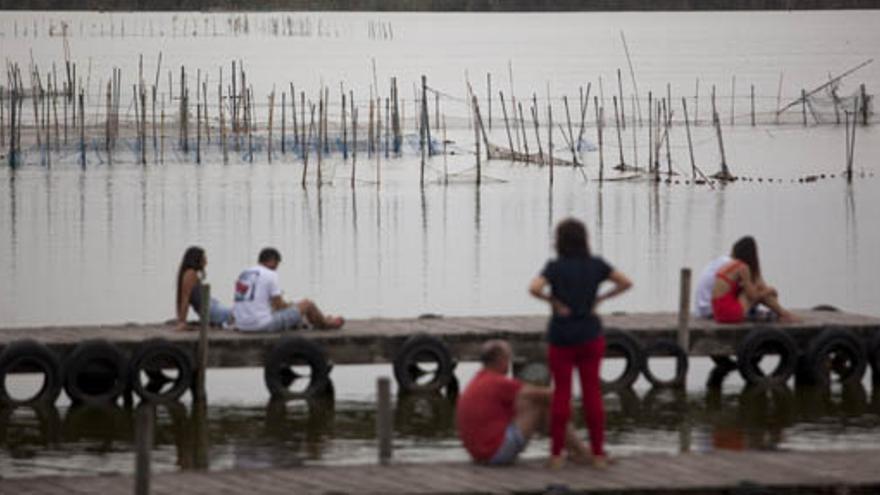 La Generalitat comprará terrenos en l’Albufera para aumentar su protección