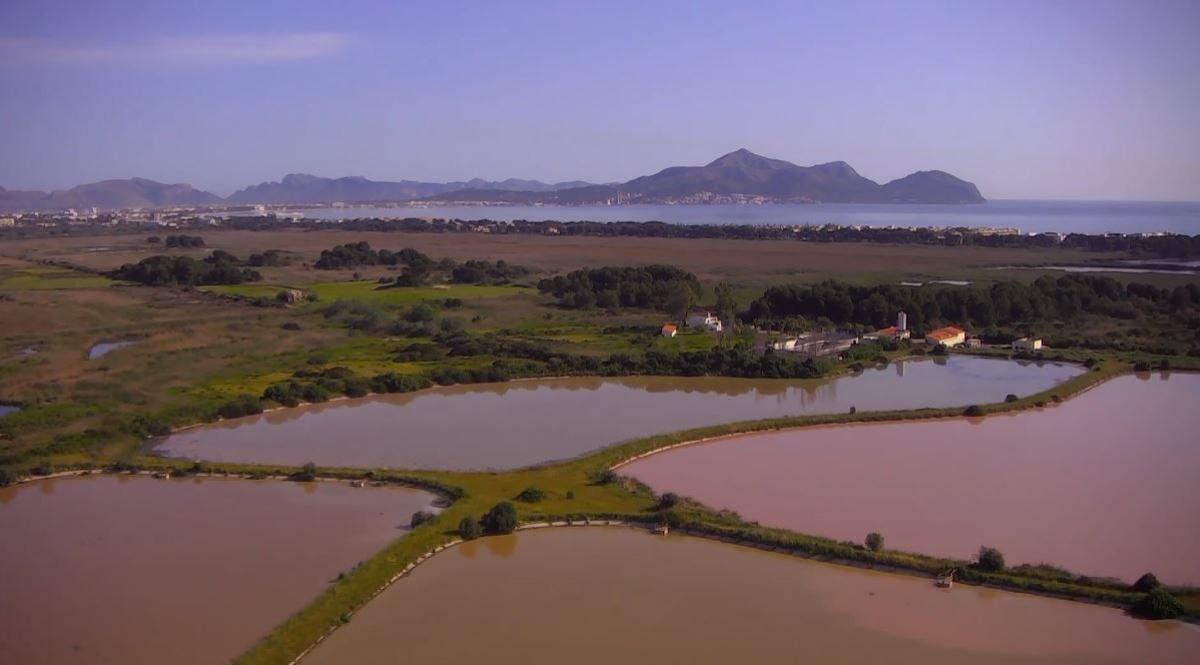 Imagen de la actual depuradora de la playa de Muro, insuficiente para tratar las aguas sucias que se generan en la bahía de Alcúdia.