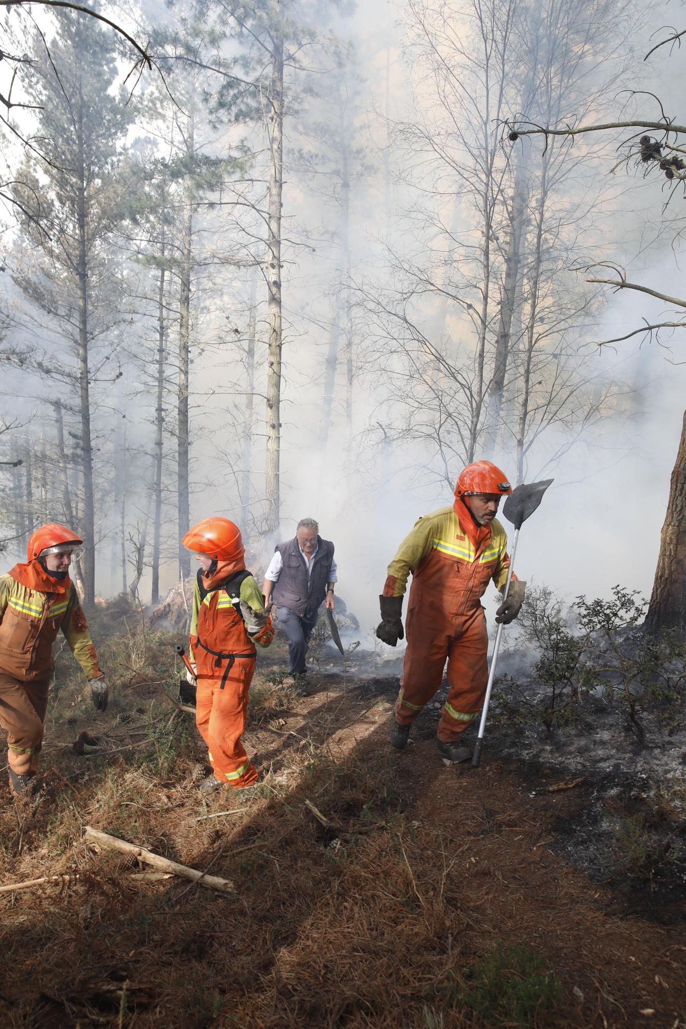 La lucha contra el fuego en el incendio entre Nava y Piloña