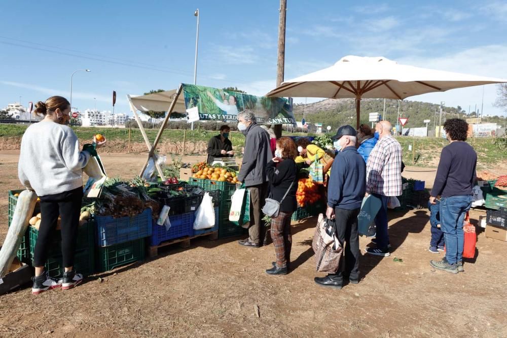 Mercado agrícola y ecológico de la Cooperativa de Sant Antoni.