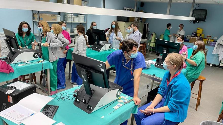 El Hospital de Alzira forma a residentes de la provincia de Valencia en el manejo de la cirugía mínimamente invasiva