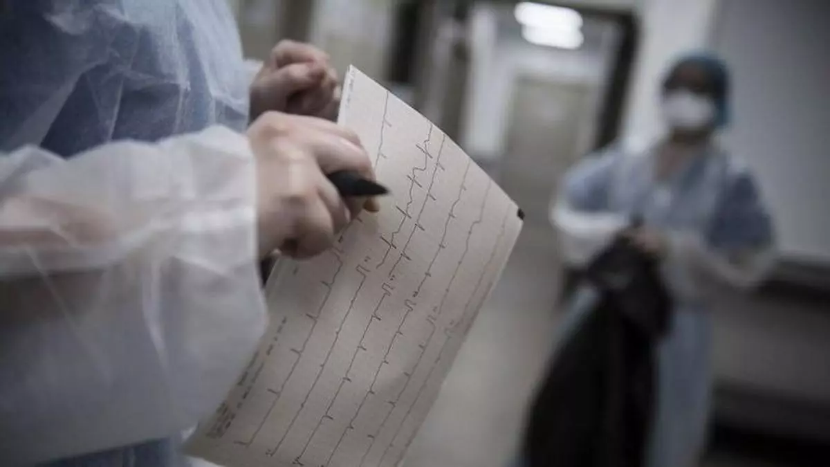 El virus shamonda infecta (y mata) por primera vez a un humano: "Debemos estar atentos a los riesgos sanitarios potenciales"