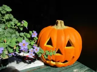 A entroideira perversión gore do tradicional tempo galego de Santos, Defuntos e Magostos