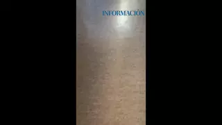 Las hormigas invaden las casas: esta es la causa