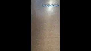 Las hormigas invaden una residencia de mayores en Alicante