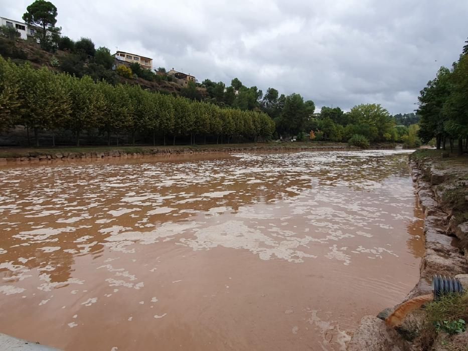 El llac de Navarcles, aquest matí