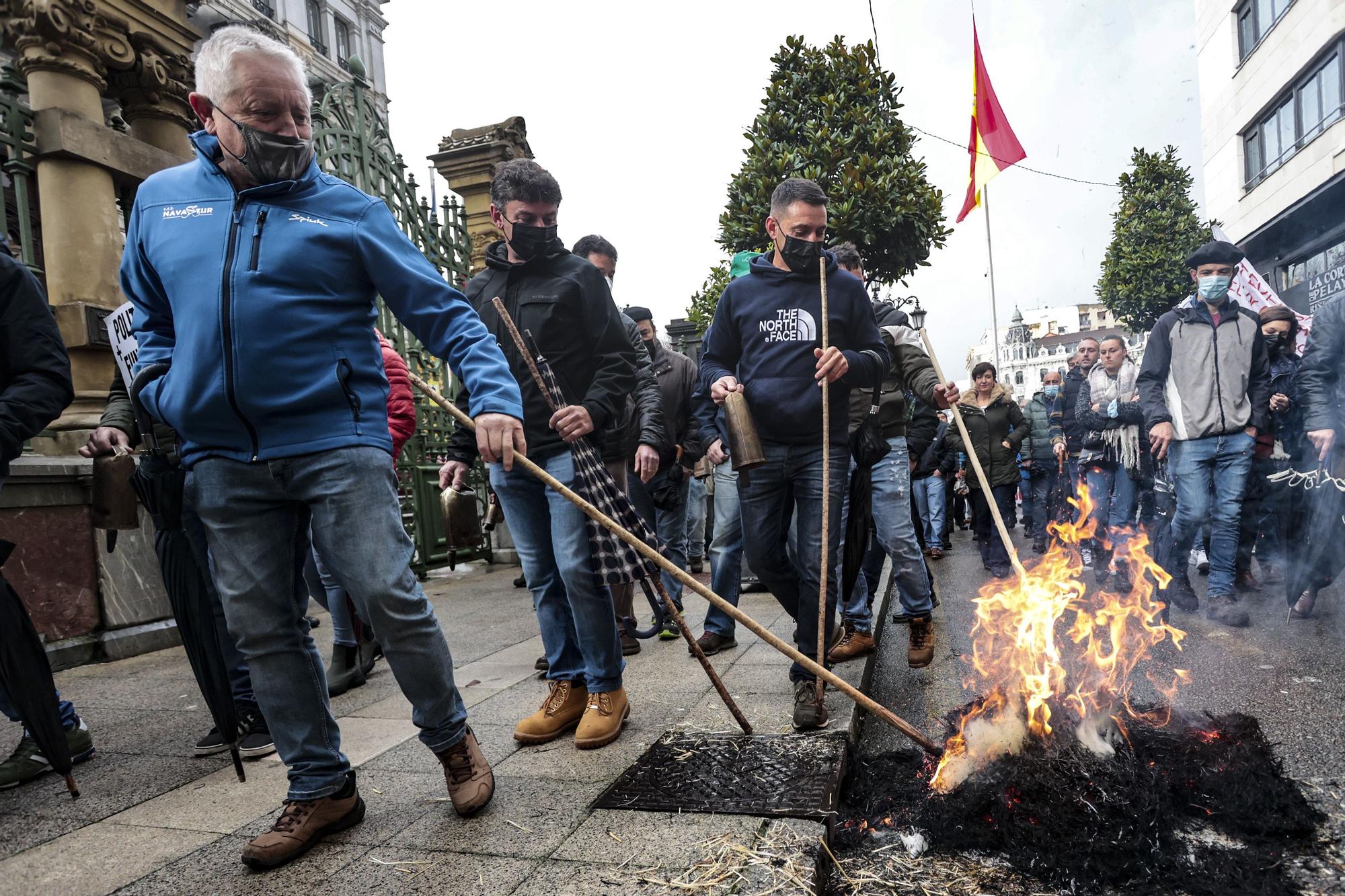 Tractorada en Oviedo de los trabajadores del campo asturiano: "No podemos más"