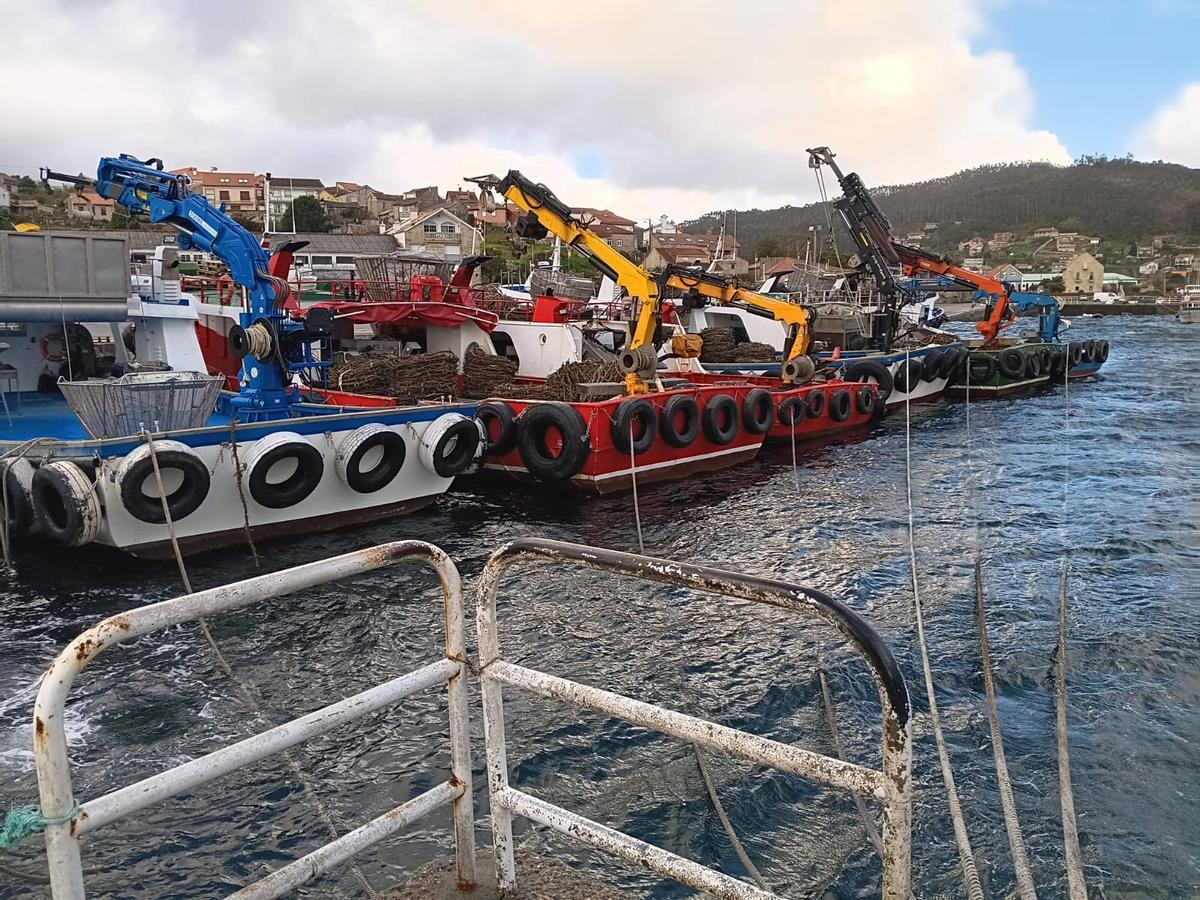 Barcos mejilloneros abarloados, ayer, en el muelle de Aldán.