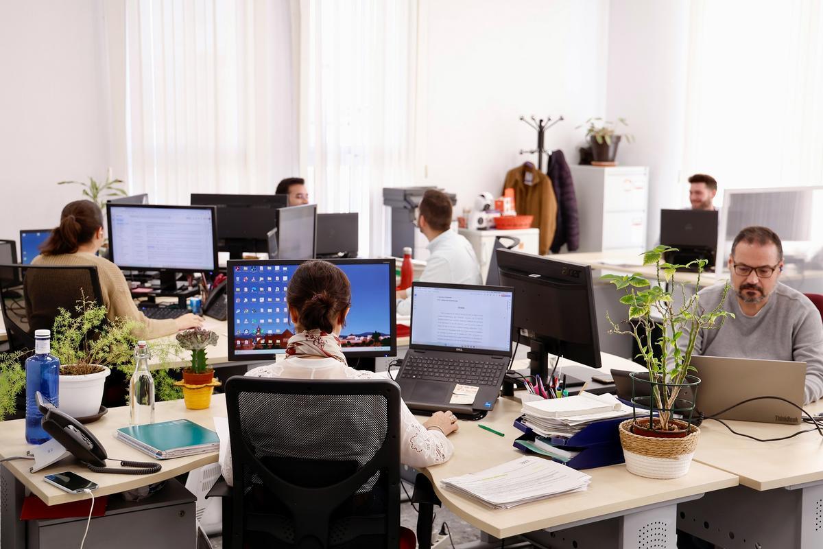 Trabajadores del Ayuntamiento de Córdoba, durante su jornada laboral.