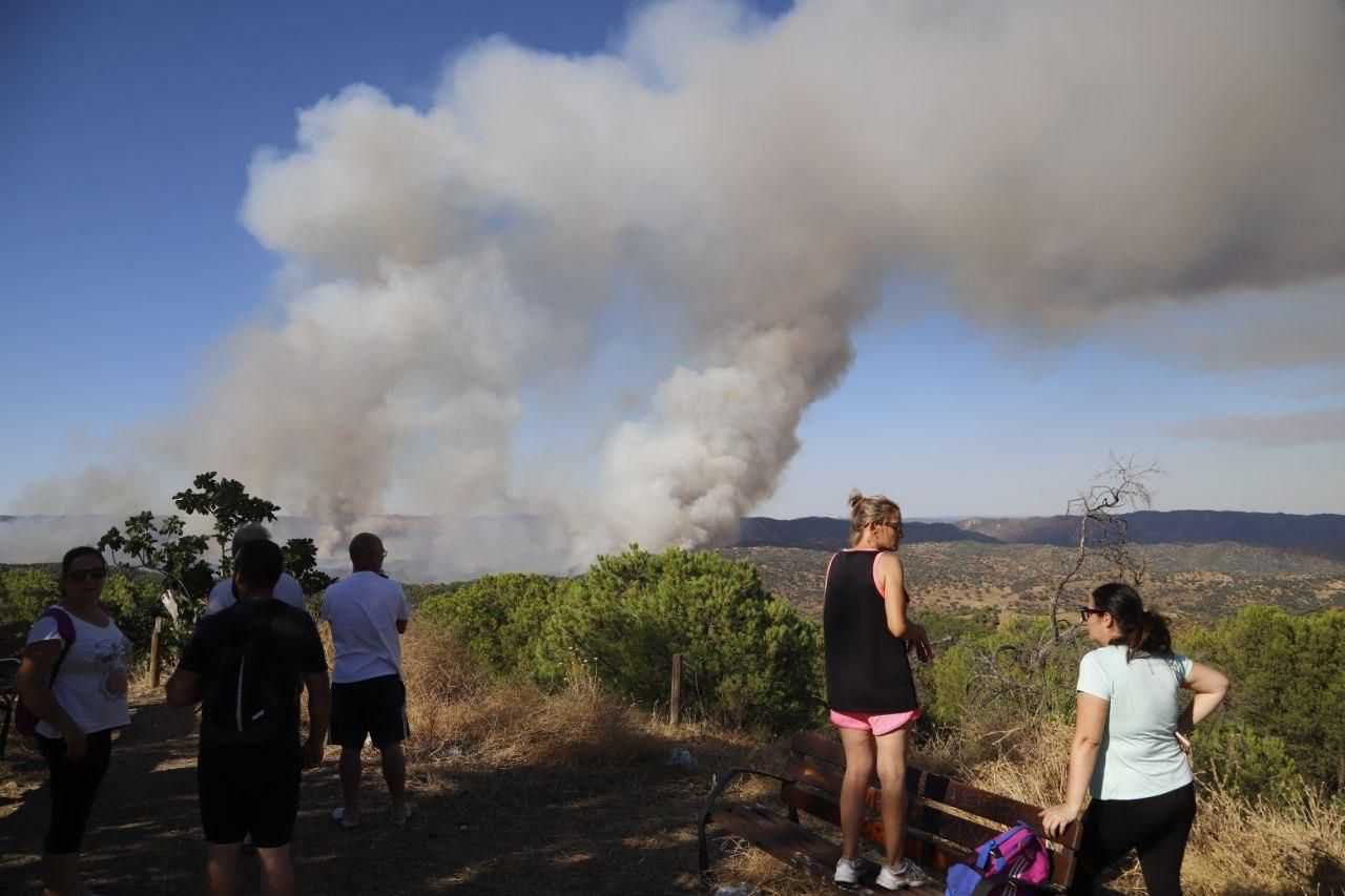 Incendio forestal en Cerro Muriano