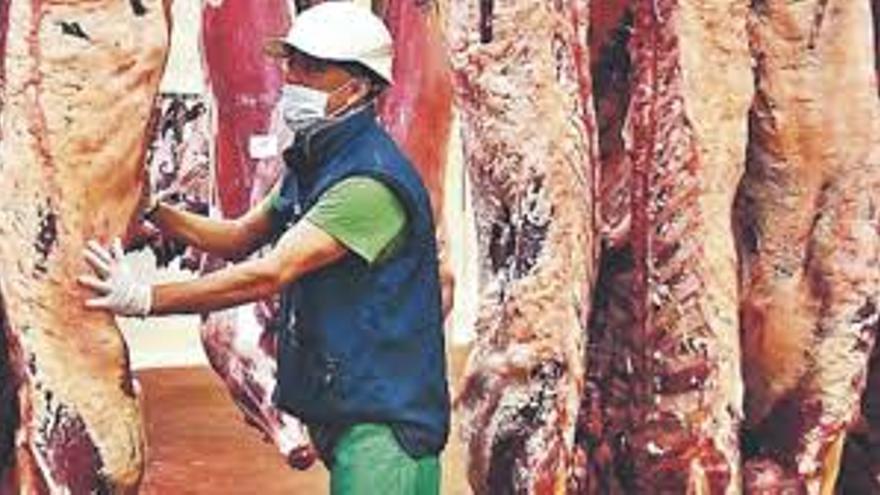 Tenerife's New Abattoir Declared Of Island Interest
