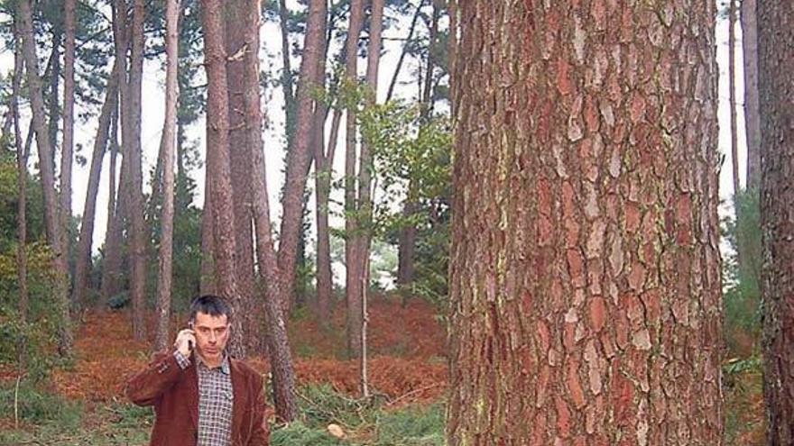 Alfredo Bea, junto al árbol conocido como &quot;el abuelo&quot;.