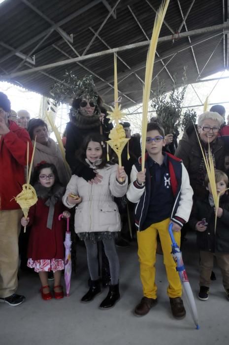 Semana Santa en Arousa 2016 | La lluvia desluce el Domingo de Ramos en Vilagarcía