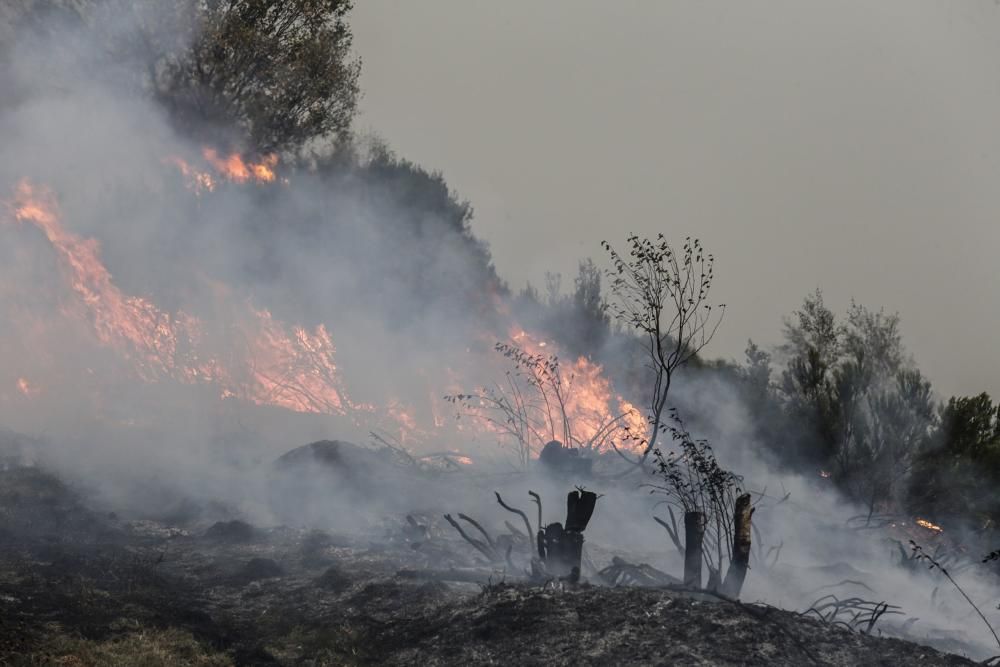 El suroccidente asturiano lucha contra las llamas