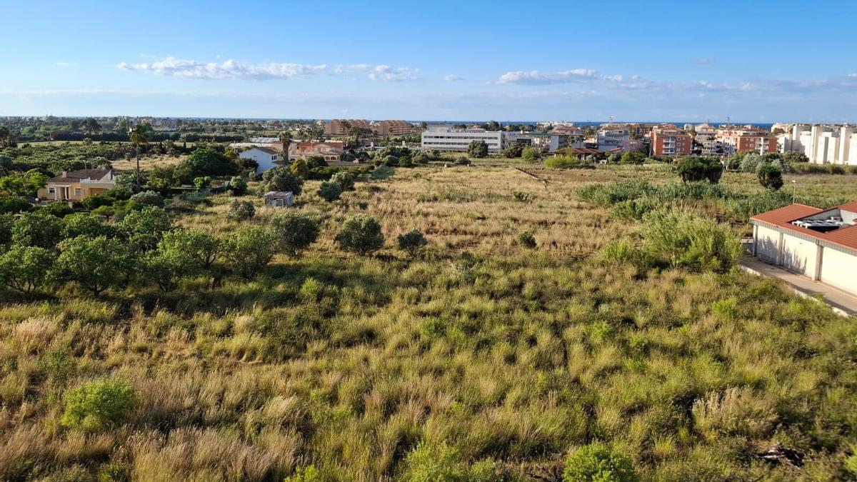 Terrenos de la partida Negrals de Dénia donde estaba previsto crear el parque agrario