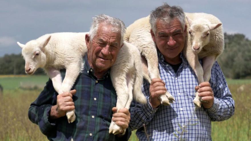 Dos ganaderos llevan sobre sus hombros a corderos. |