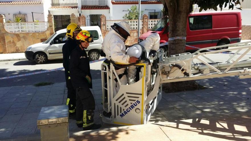 Los bomberos retiran un panal de abejas de un árbol con trajes prestados