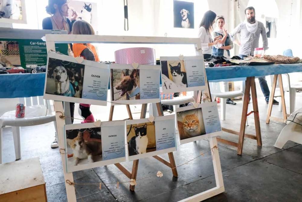 Fiesta en beneficio de los animales