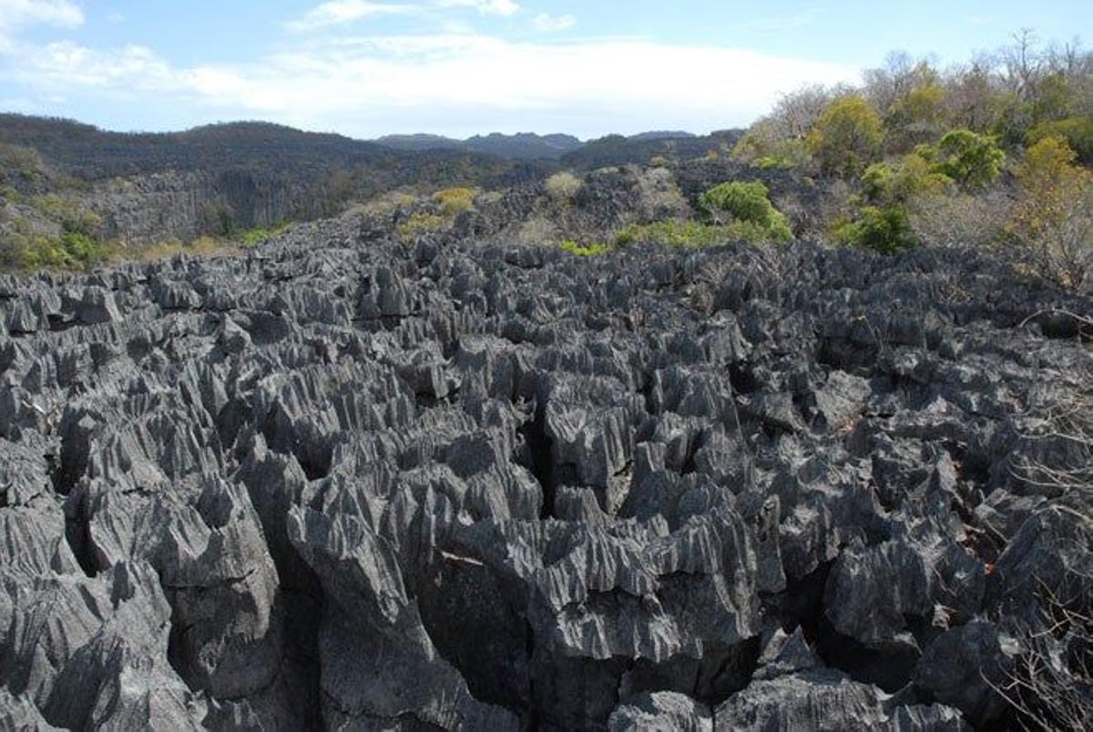 Reserva especial de Ankarana