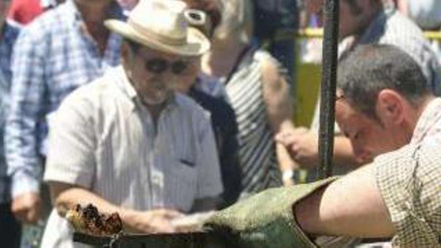 La Fiesta del Corderu en el Prau L.lagüezos, suspendida por la lluvia