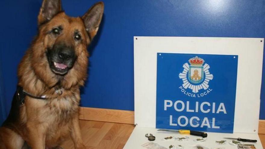 Nuevo éxito del agente canino Zar en Cieza