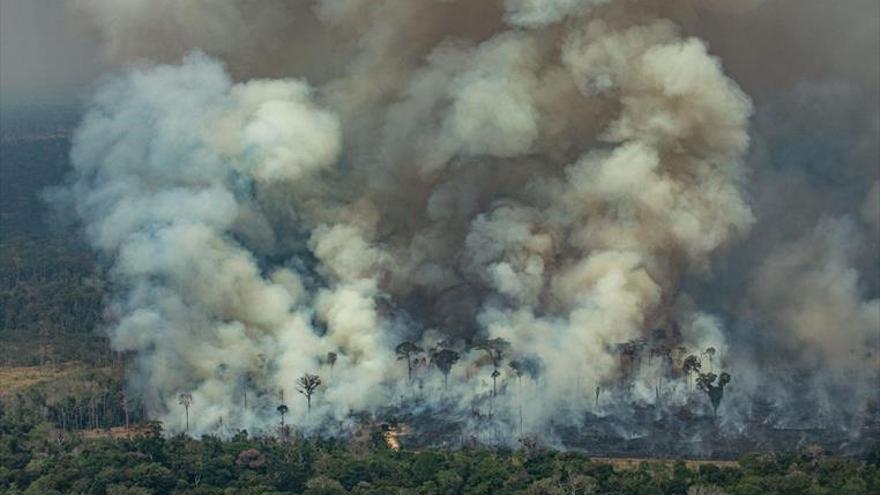 Varios estados de Brasil piden ayuda militar contra los incendios