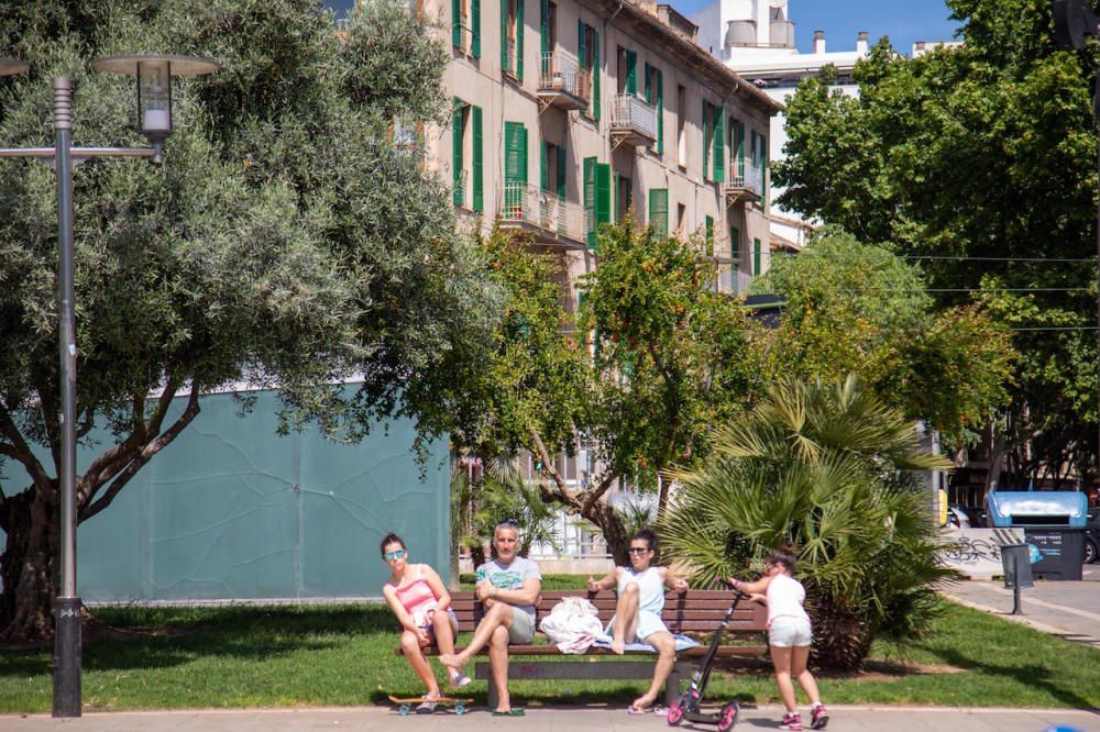 Die Parks in Palma de Mallorca sind wieder geöffnet