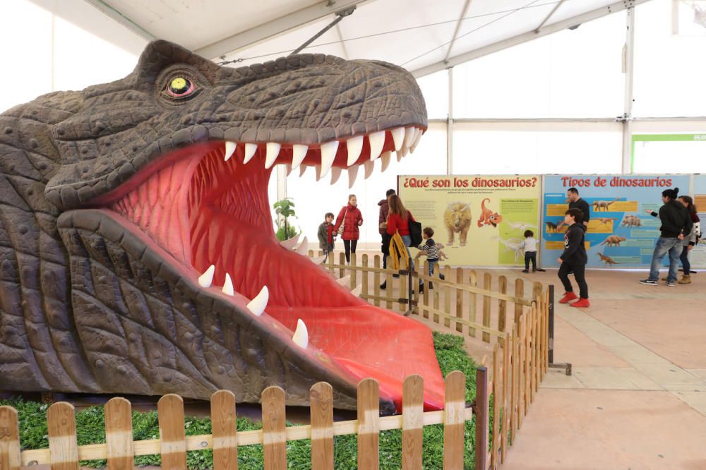 Así fue la exposición 'Dinosaurs Tour', que llegará a Mallorca, durante su paso por Ibiza