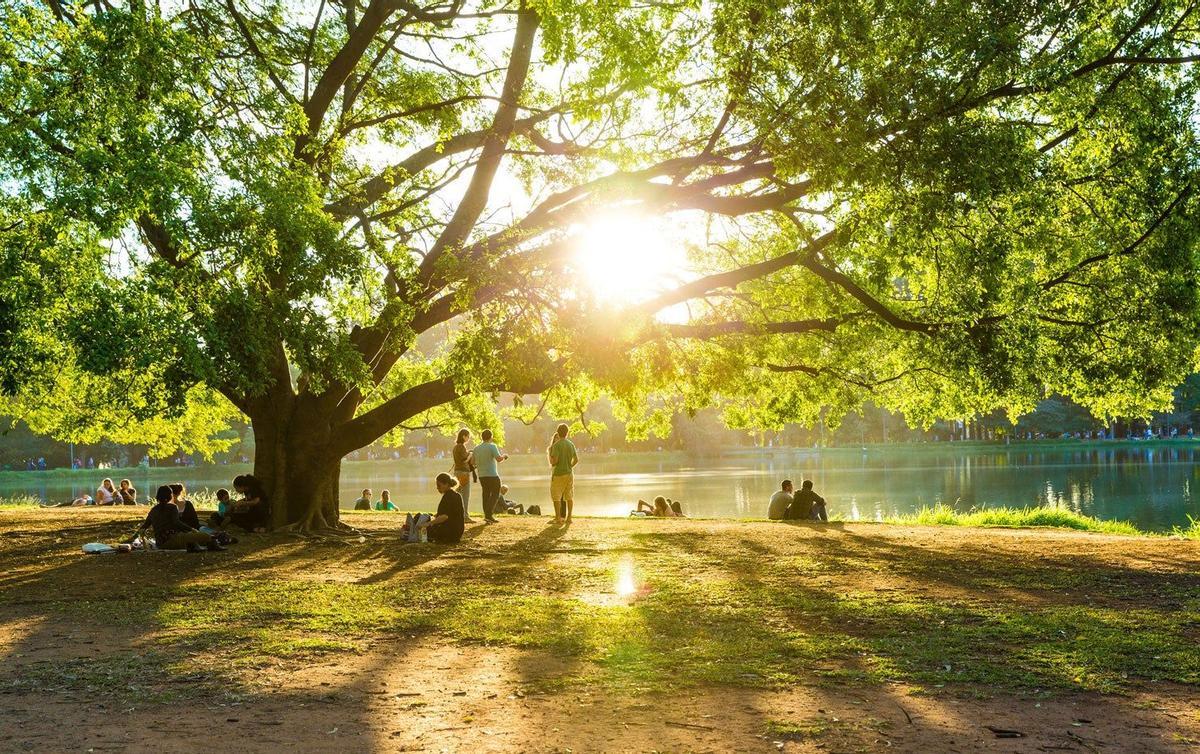 Parque do Ibirapuera, São Paulo, Brasil