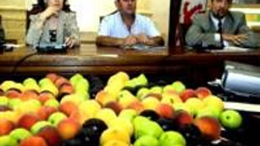 La plaza Mayor acoge un gran mosaico con frutas el jueves