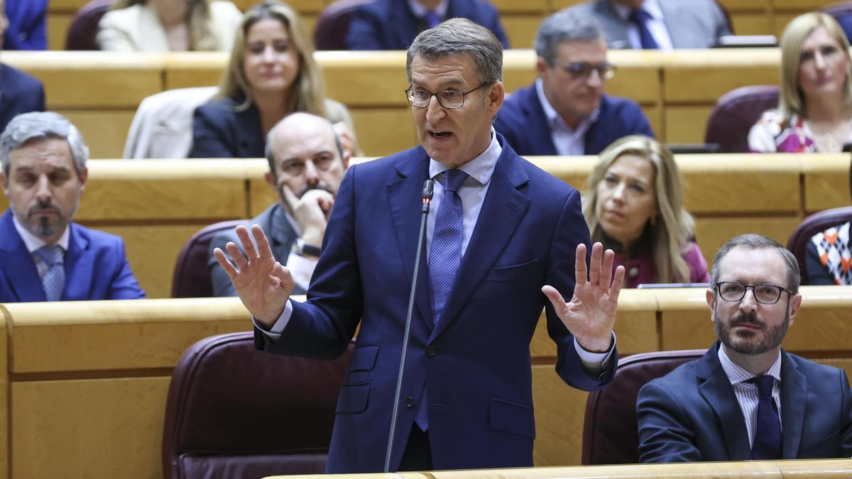 El líder del PP, Alberto Núñez Feijóo.