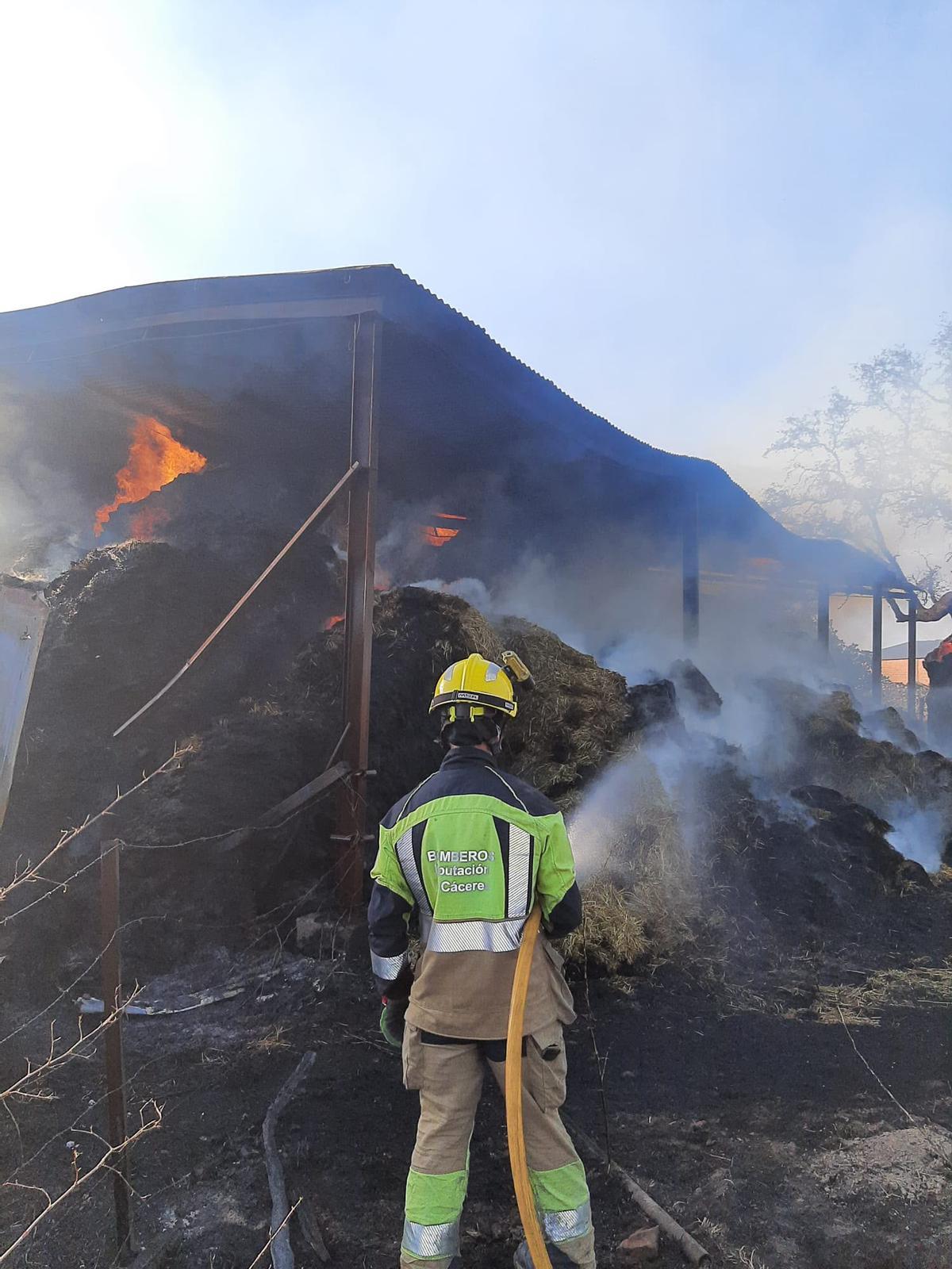 Fotogalería | Intervención del Sepei de Cáceres en Montehermoso Fotogalería | Intervención del Sepei de Cáceres en Montehermoso