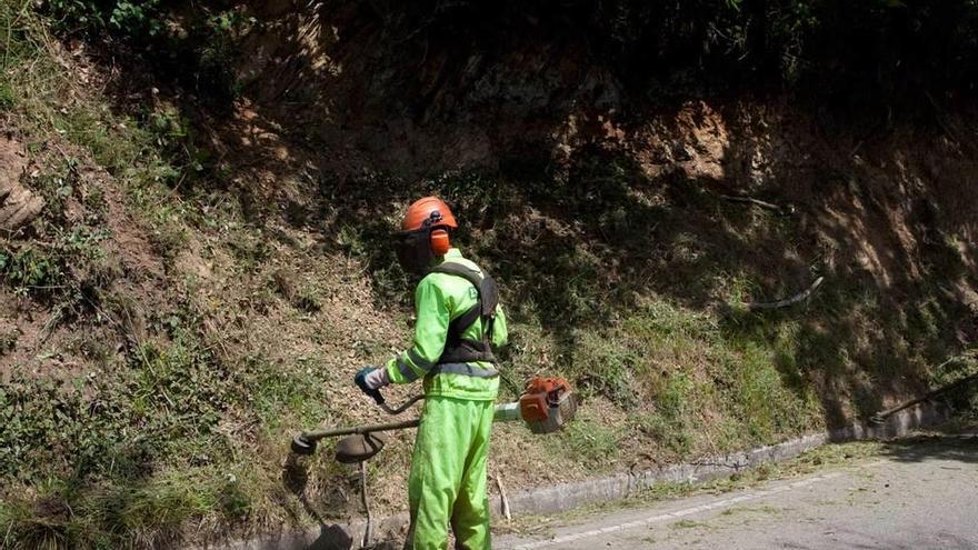 Un operario municipal desbroza la carretera entre Barredos y La Faya los Llobos.