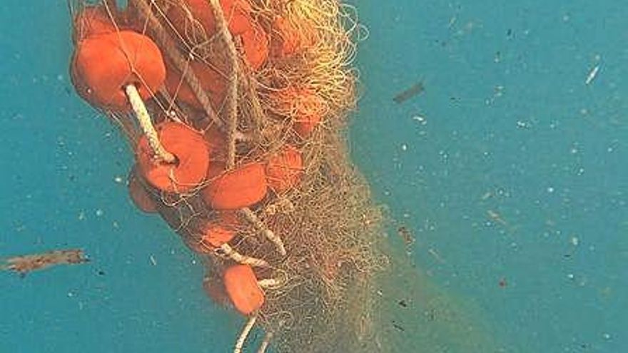 La nueva red hallada en Moraira. | ECOLOGISTES EN ACCIÓ