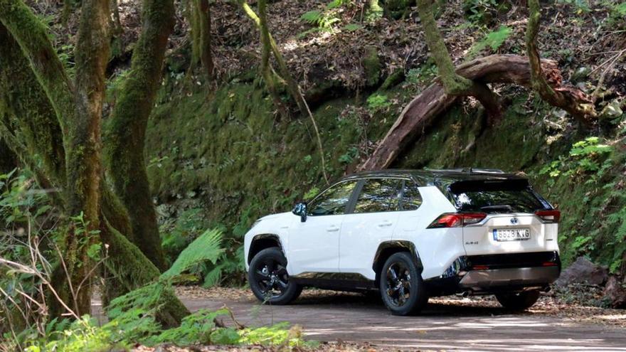 Toyota RAV 4 &amp; La Gomera