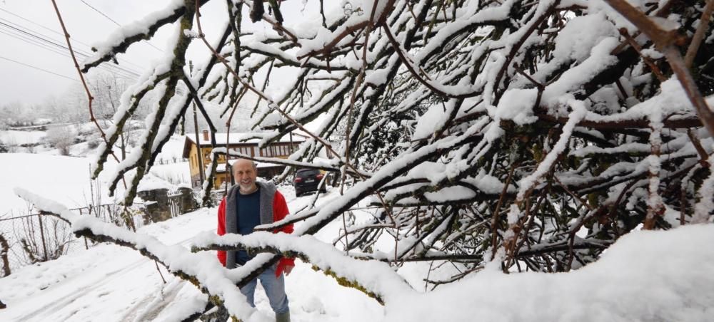 Temporal de nieve en Viego (Ponga)