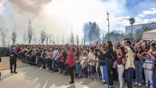 Hogueras frente a la prohibición de las mascletás: "Para los que apostamos por la pólvora es un roto"