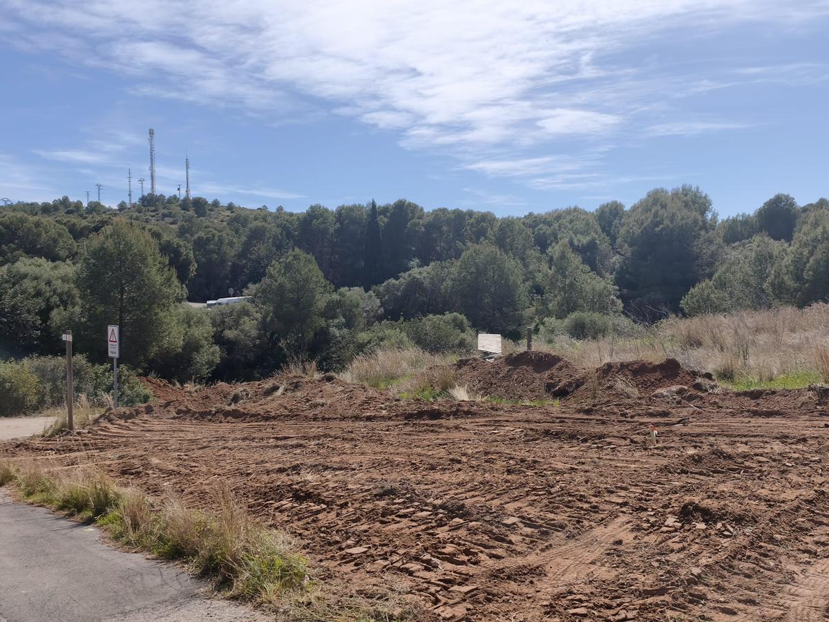 Una treintena de olivos serán trasplantados a otros puntos en lugar de perderse.