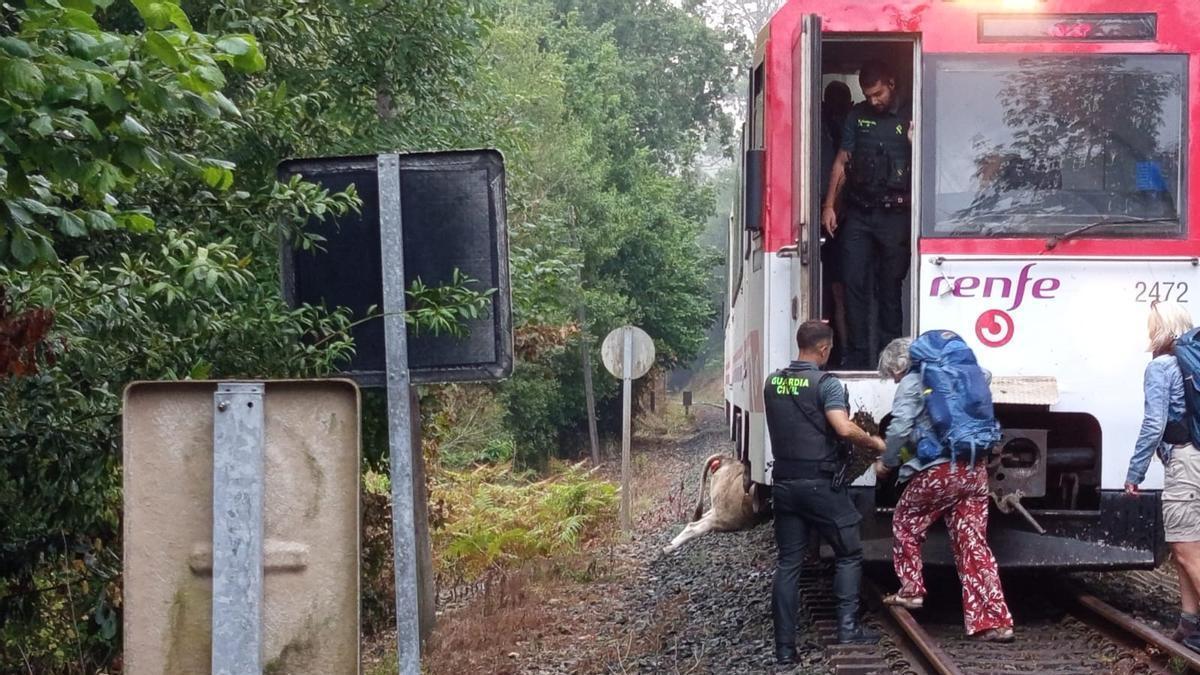 Agentes de la Guardia Civil ayudan a los pasajeros a abandonar el tren que arrolló a una vaca en Llanes.