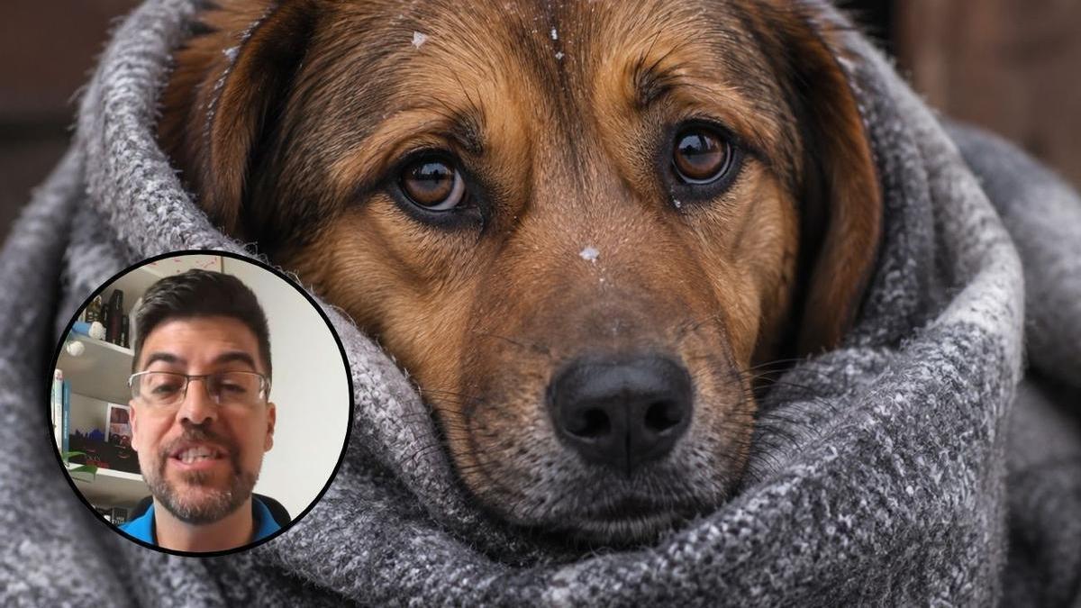 Los veterinarios coinciden en que hay razas de perro que son más proclives a necesitar que los tapes