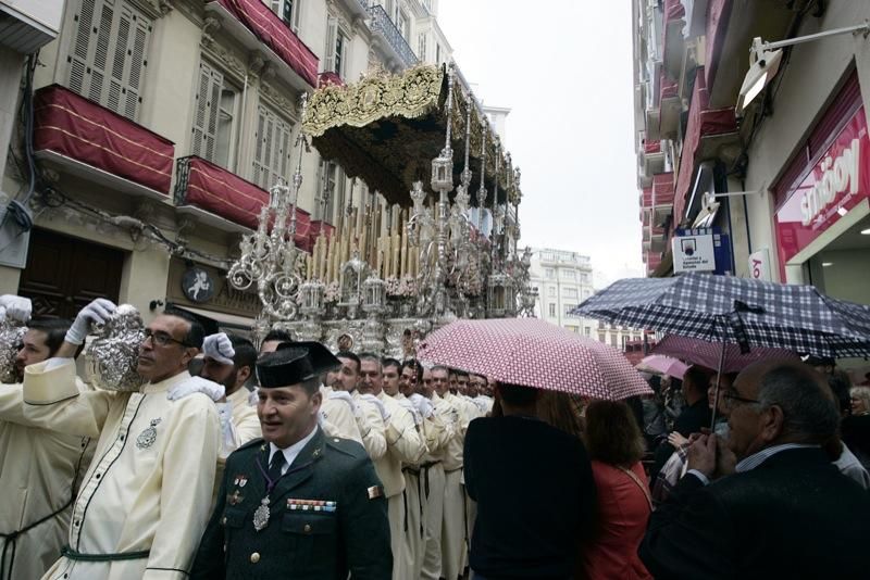 Domingo de Ramos de 2016 | Lágrimas y Favores