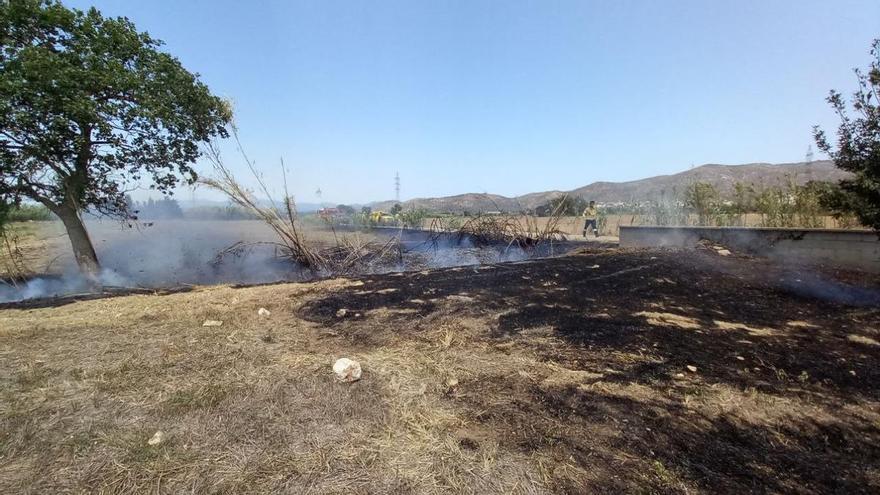 Cremen 250 m2 de vegetació agrícola a Pau