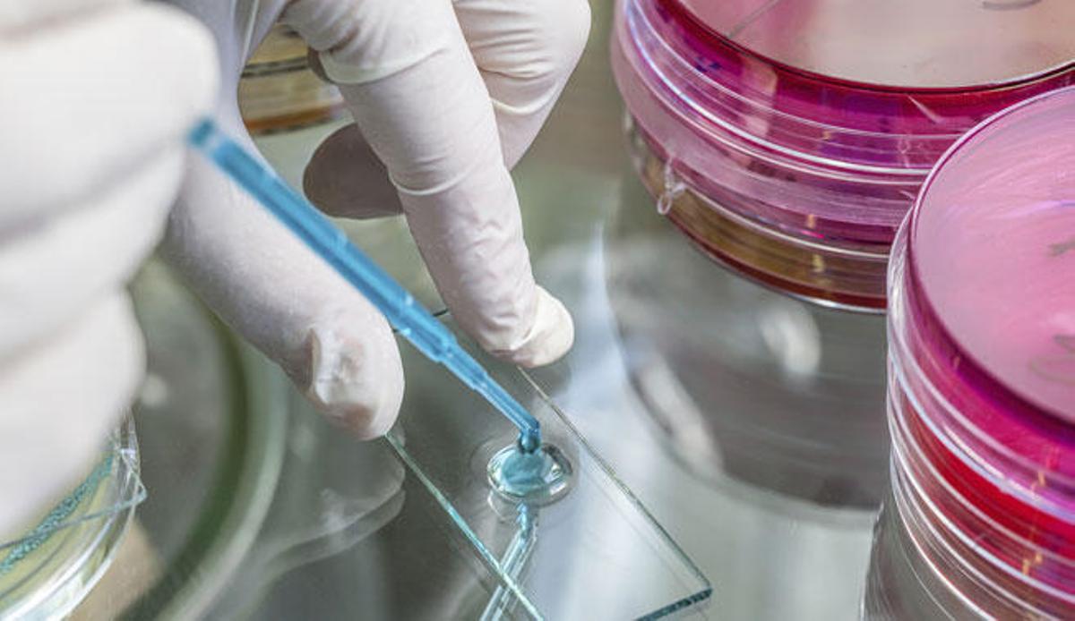 Conoce cómo se transmite la legionella