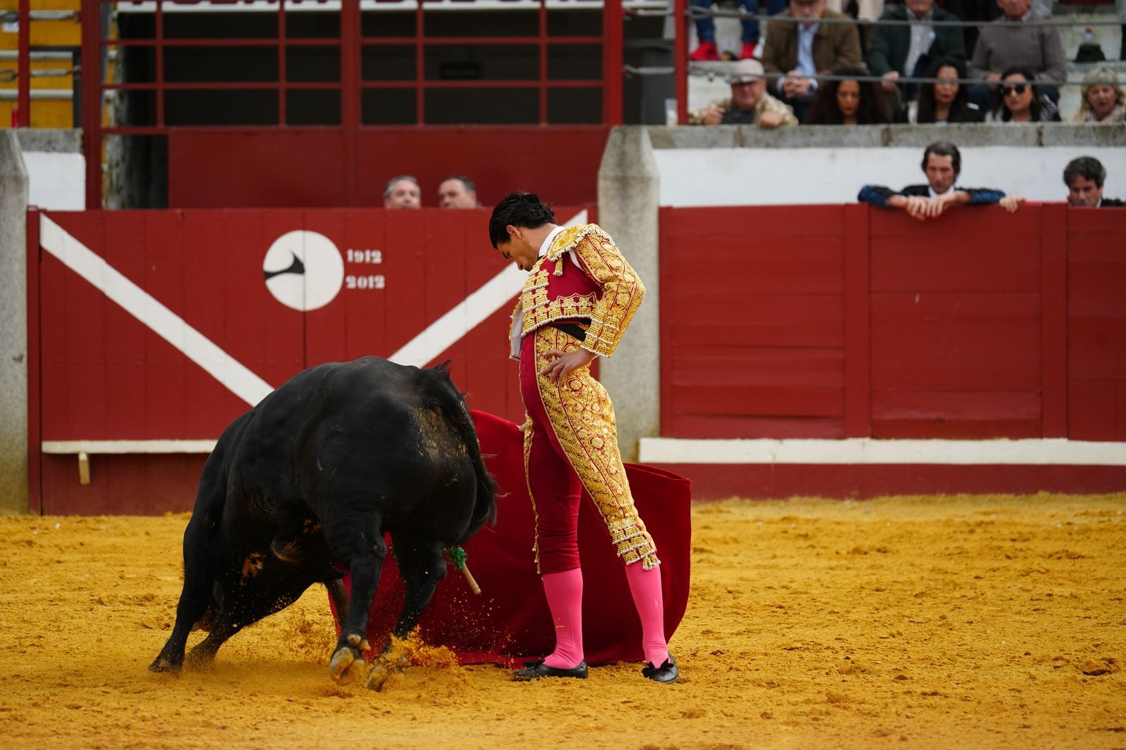 El festejo taurino de Pozoblanco, en imágenes