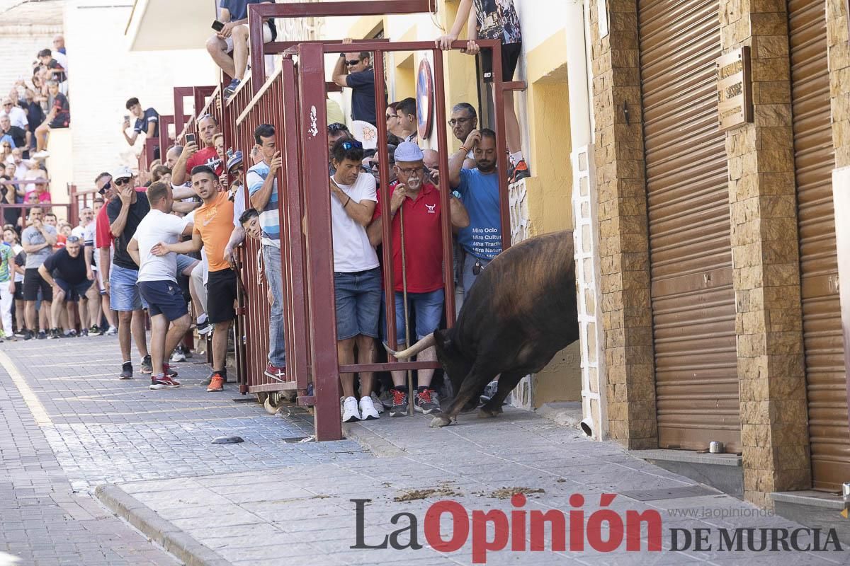 Tercer encierro de las Fiestas de Moratalla