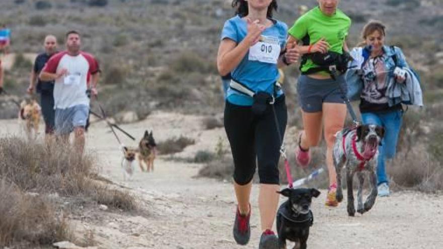 Tres kilómetros de carrera de perros y dueños